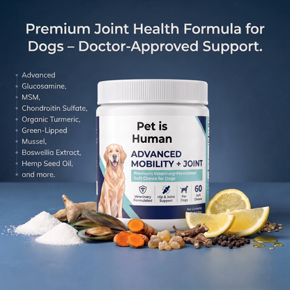 Support healthy joints — bring back the joy of every walk